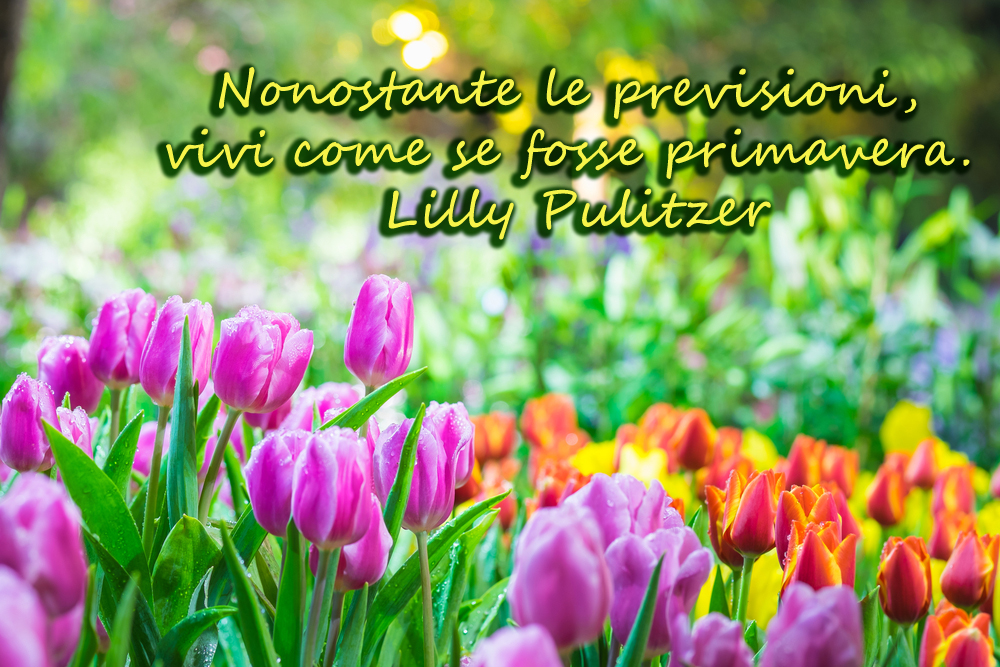 equinozio-primavera-immagini-frasi-2.jpg