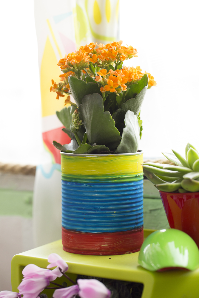 lavoretti-creativi-barattoli-latta-6.jpg