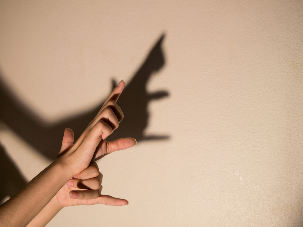 come-fare-ombre-cinesi-mani-8.jpg