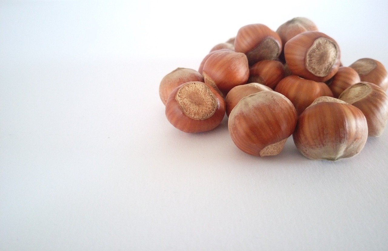 Olio di nocciole per la pelle: benefici e modalità d'uso