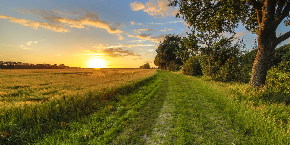 7 cose da fare in campagna d'estate per rilassarci