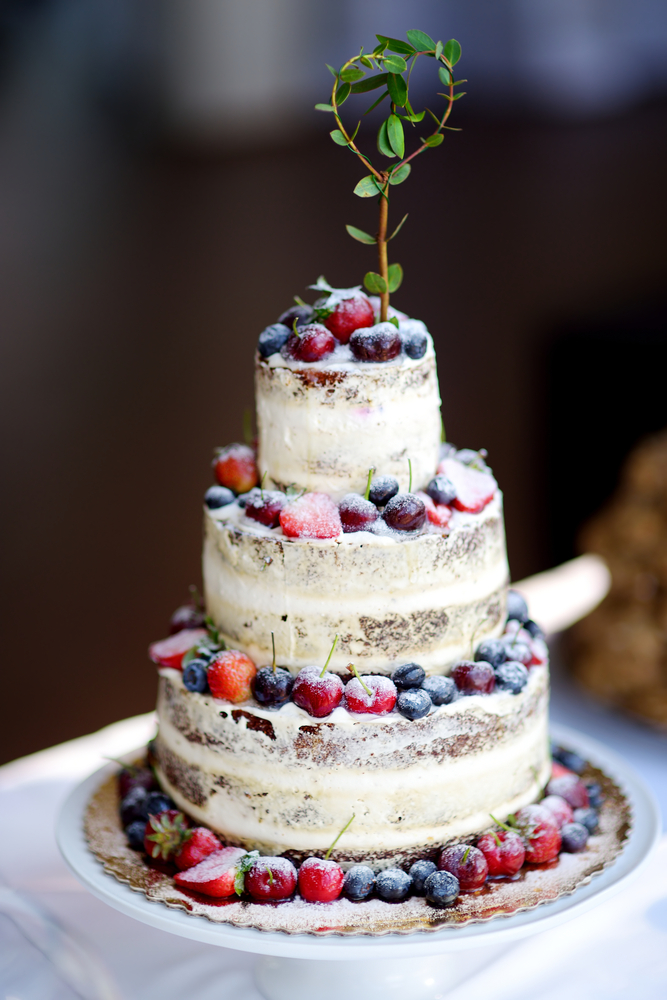 torte-decorate-ciliegie-2.jpg