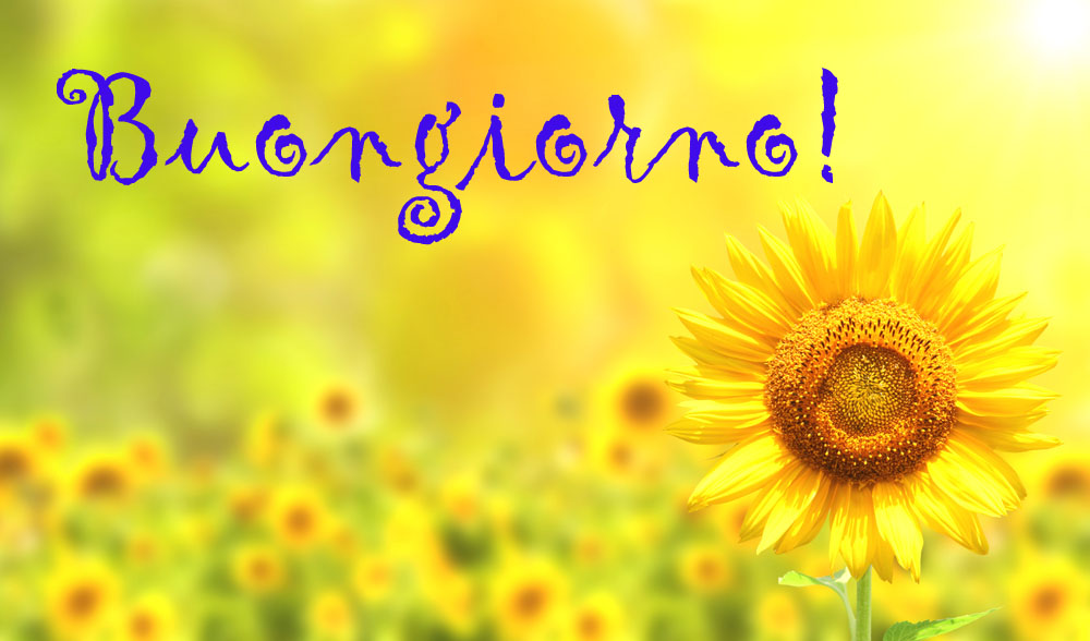 buongiorno-fiori-estivi-3.jpg