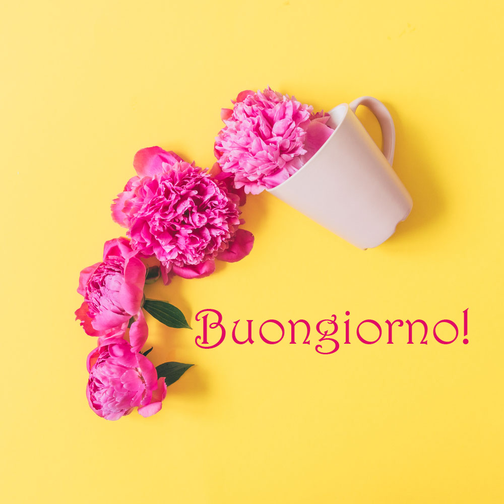buongiorno-fiori-estivi-5.jpg
