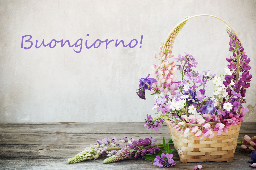 buongiorno-fiori-estivi-7.jpg