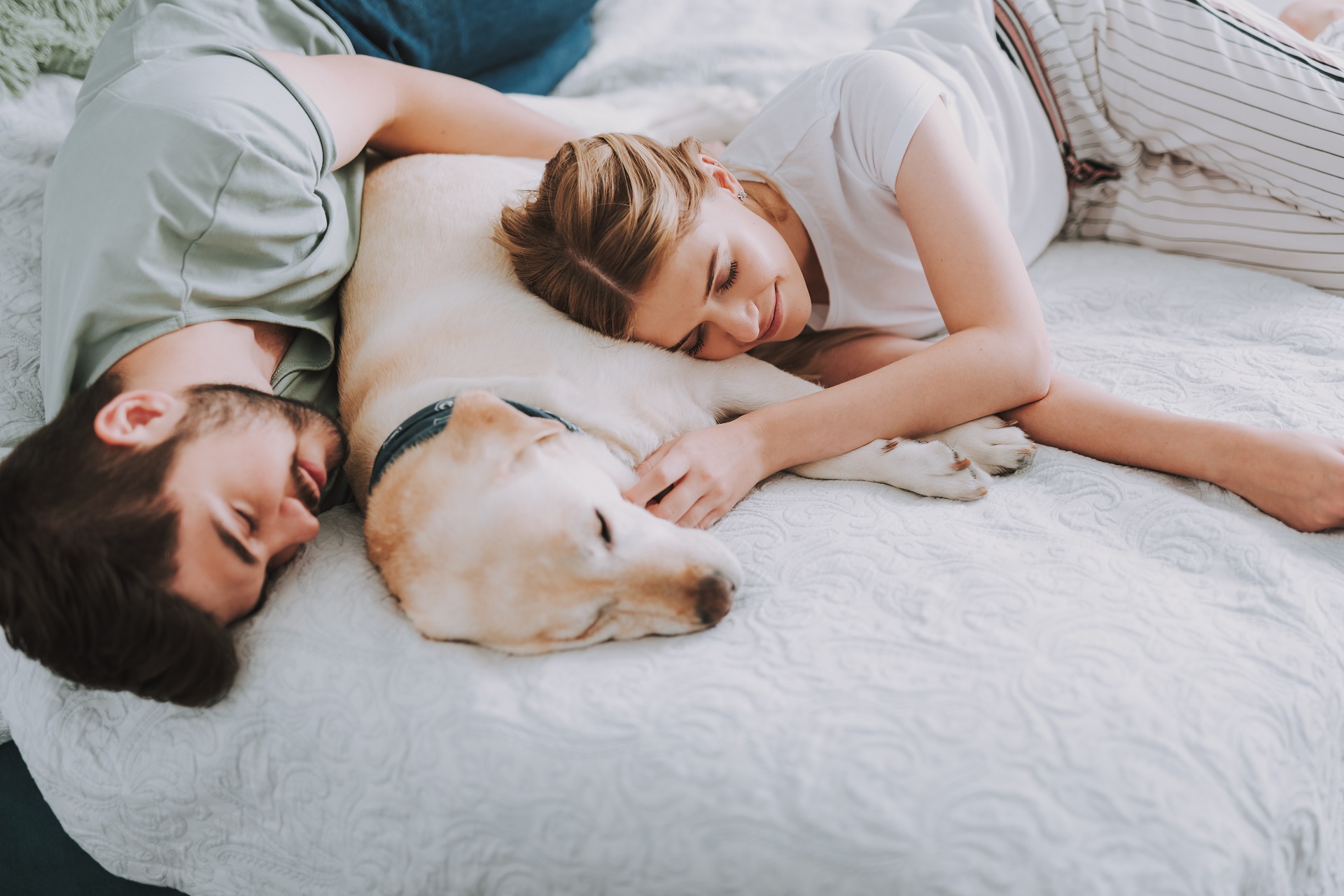 Quanto dormono i cani durante il giorno?
