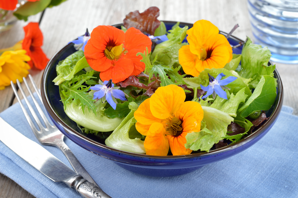 5 fiori da coltivare e da mangiare