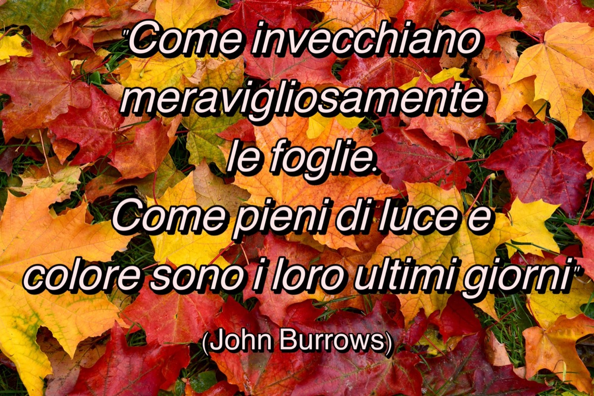 Equinozio-autunno-frasi-2.jpeg