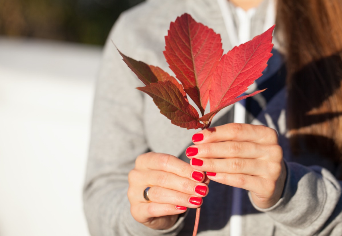 Trend nail art autunno 2021: le decorazioni chic da sfoggiare