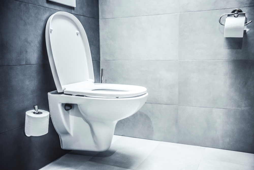 Vermi neri nel wc: perché si formano e come si combattono?