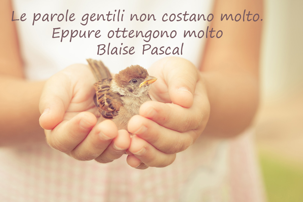 giornata-gentilezza-immagini-frasi-1_0.jpg