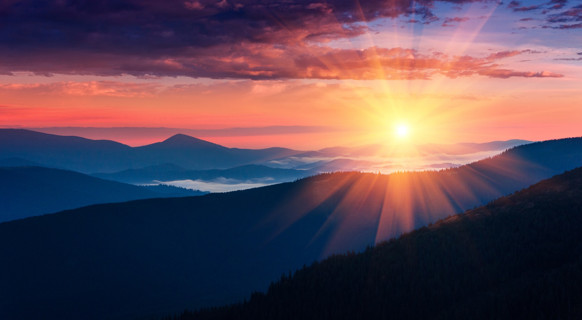 Le più belle frasi sull'alba per un buongiorno romantico