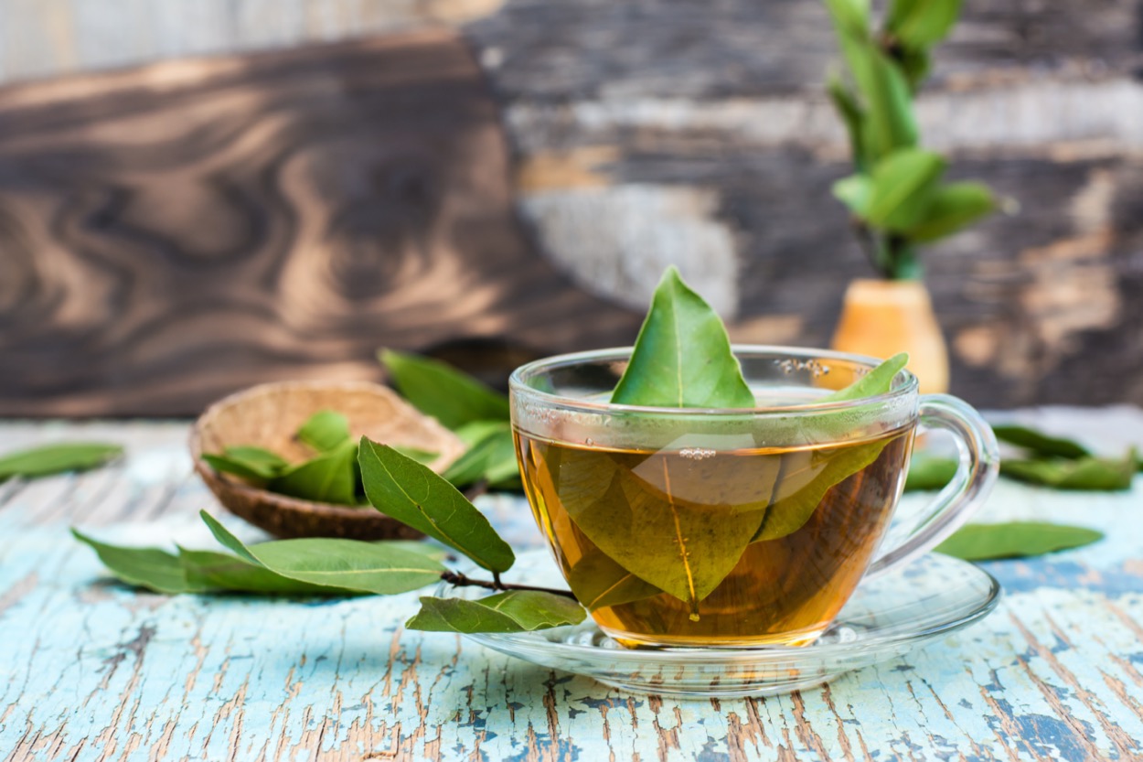 A cosa serve l'infuso di alloro e i benefici di questo rimedio naturale