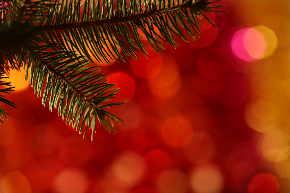 Riciclo creativo Natale: decorazioni brillanti fai da te per l’albero