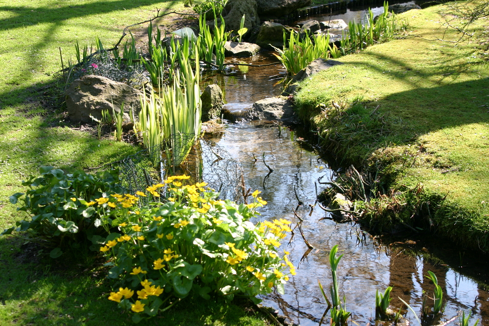 Come arredare il tuo giardino con il Feng Shui