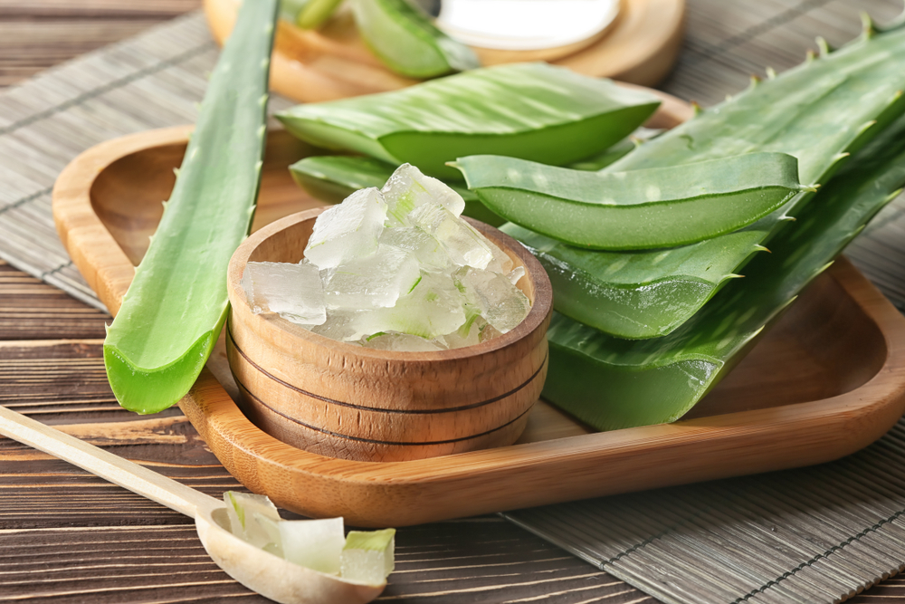 Aloe vera, i benefici per la pelle