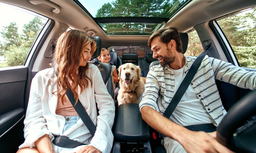 4 consigli per viaggiare con il tuo cane