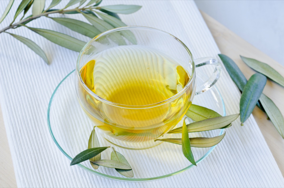 Infuso di foglie di olivo: ricetta e a cosa serve questo rimedio naturale