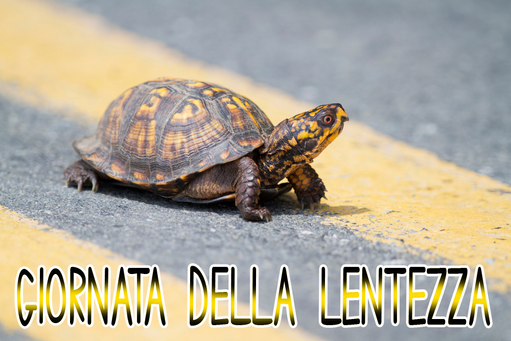 giornata-lentezza-immagini-4.jpg