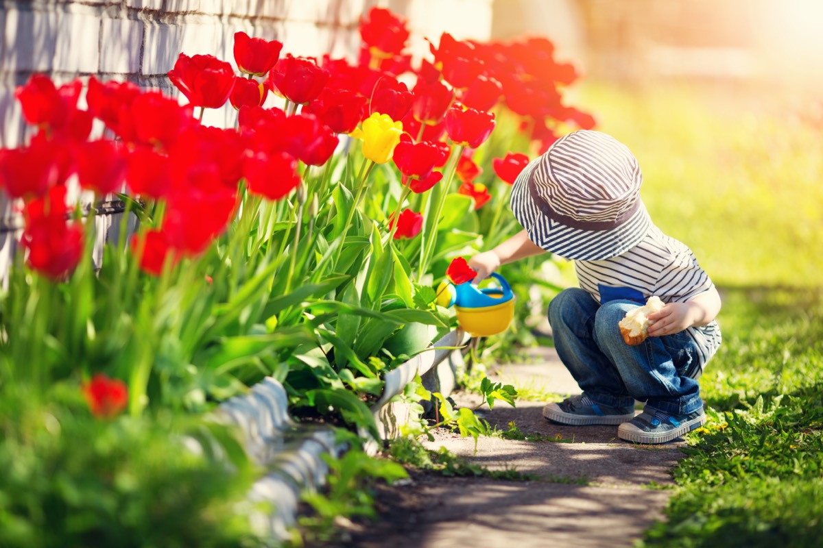 Che cosa significa sognare la primavera
