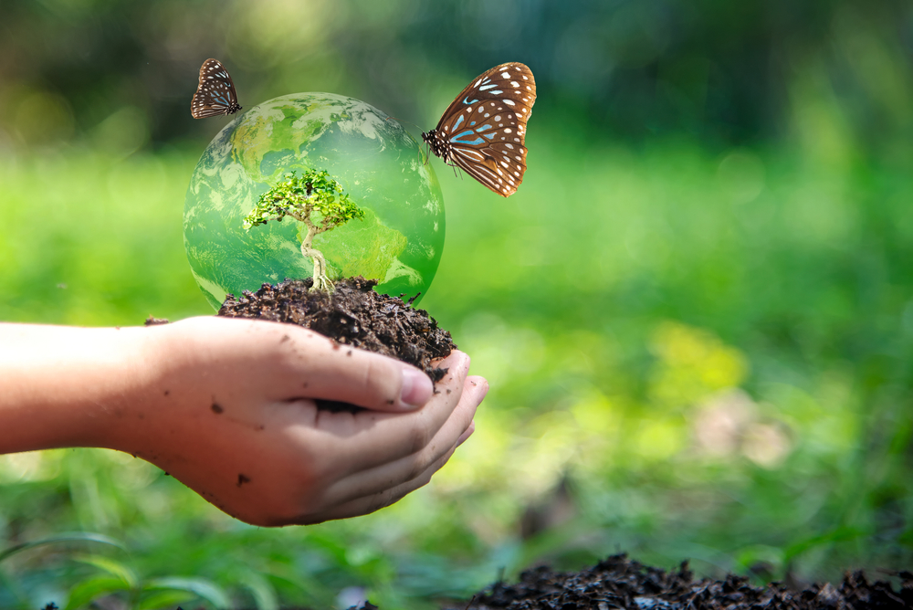 Come partecipare alla Giornata della biodiversità 2022 e costruire un futuro migliore