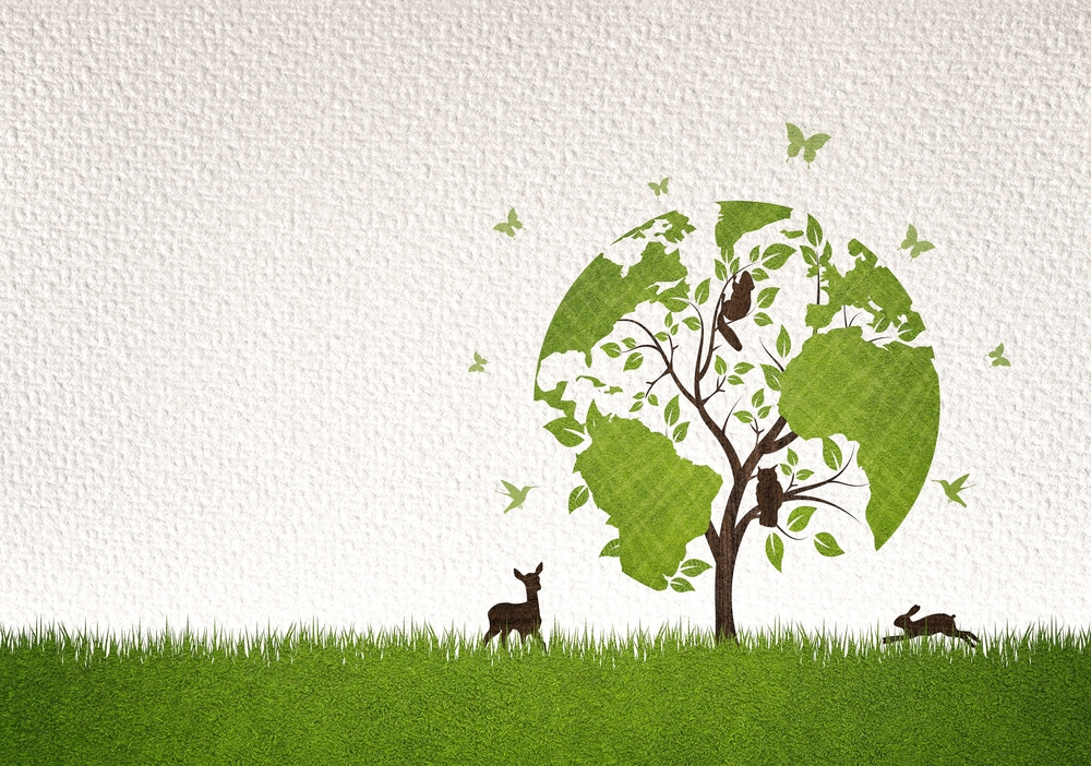 Cos’è il rewilding e perché può aiutare la biodiversità?