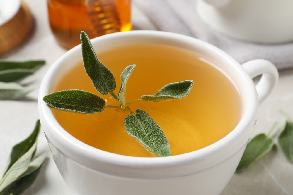 Tè alla salvia: proprietà e benefici
