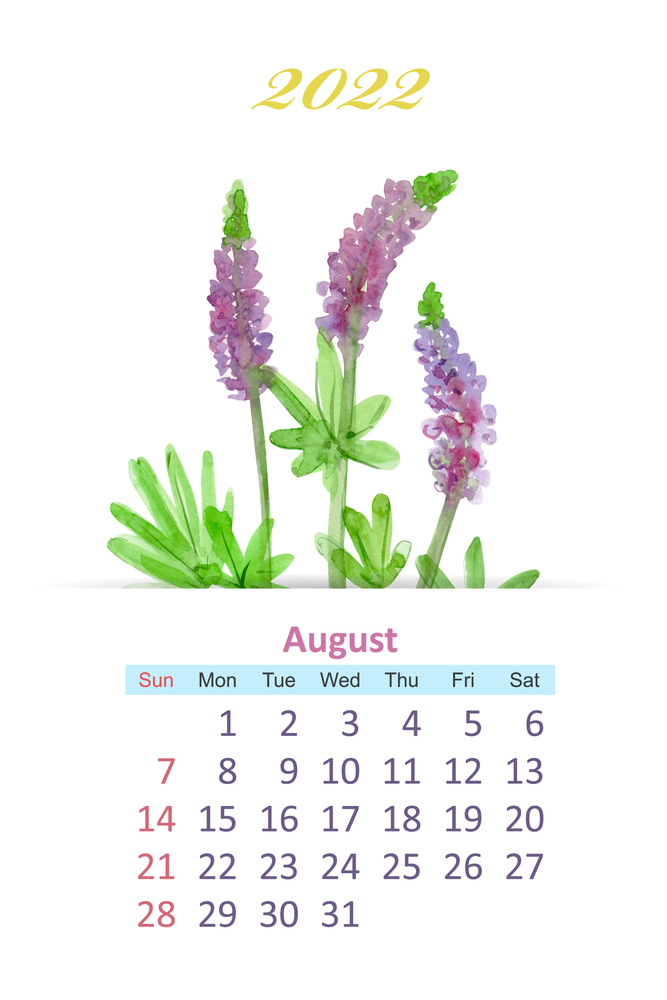 calendario-agosto-2022-da-stampare-2.jpg