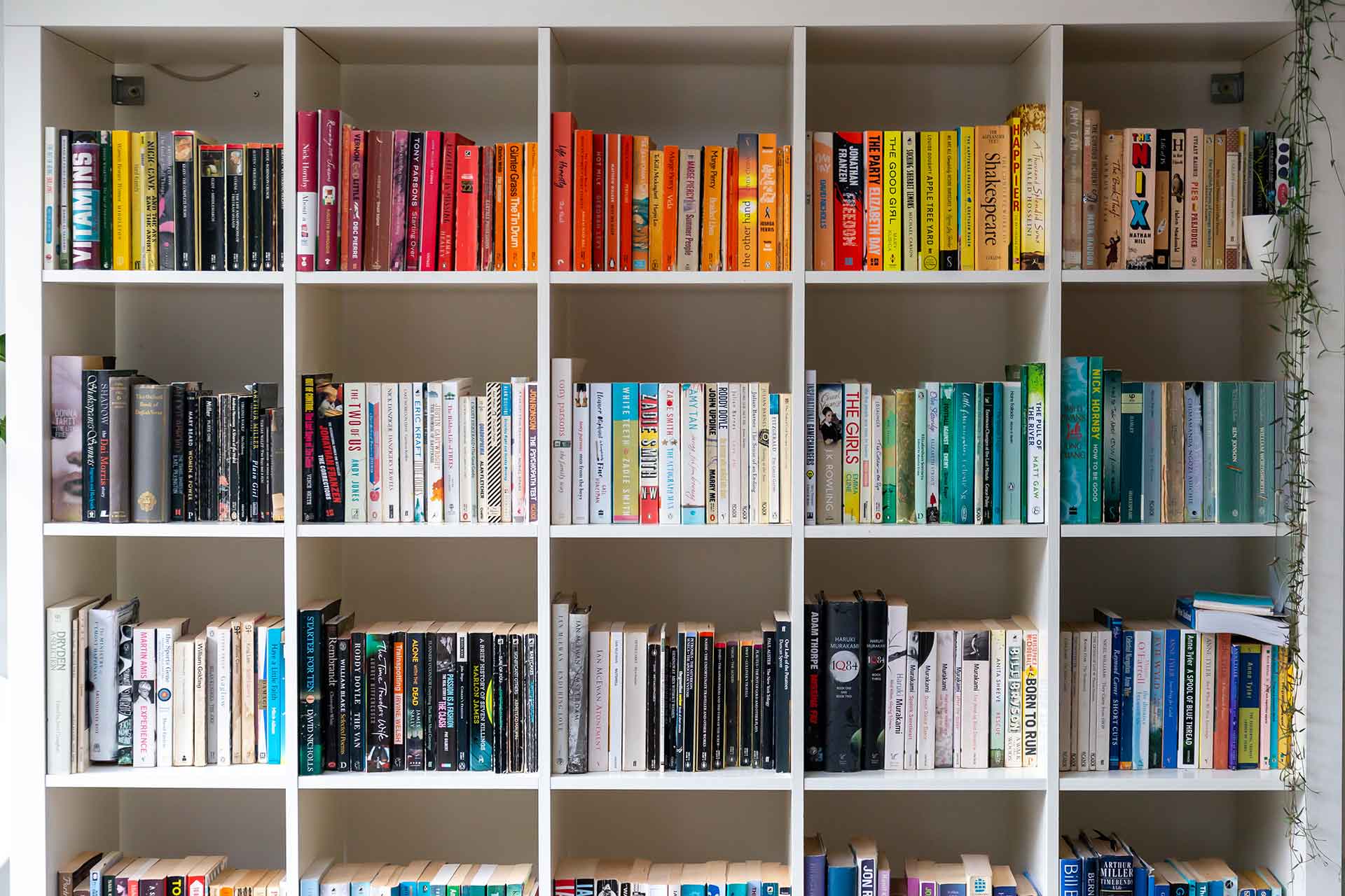 Come pulire la libreria: i rimedi naturali migliori