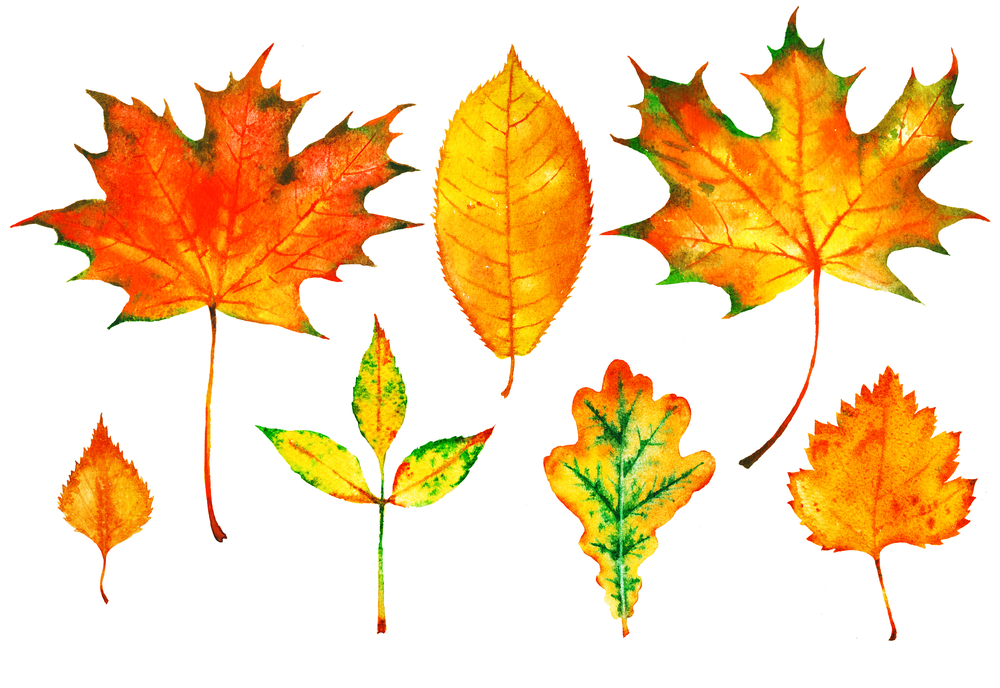 immagini-decoupage-da-stampare-gratis-autunno-5.jpg