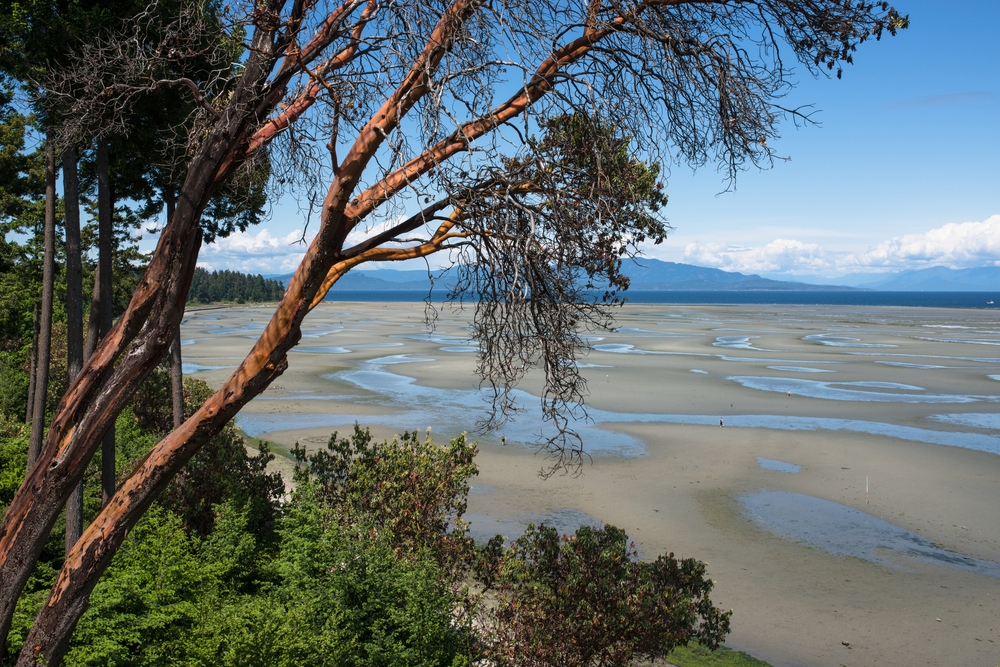 Sea Garden Restoration per protegge le coste e il mare con tradizioni secolari