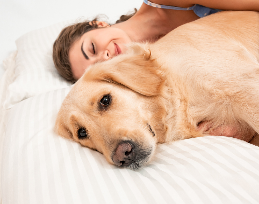 Dormi con il tuo animale domestico? È ora di smettere