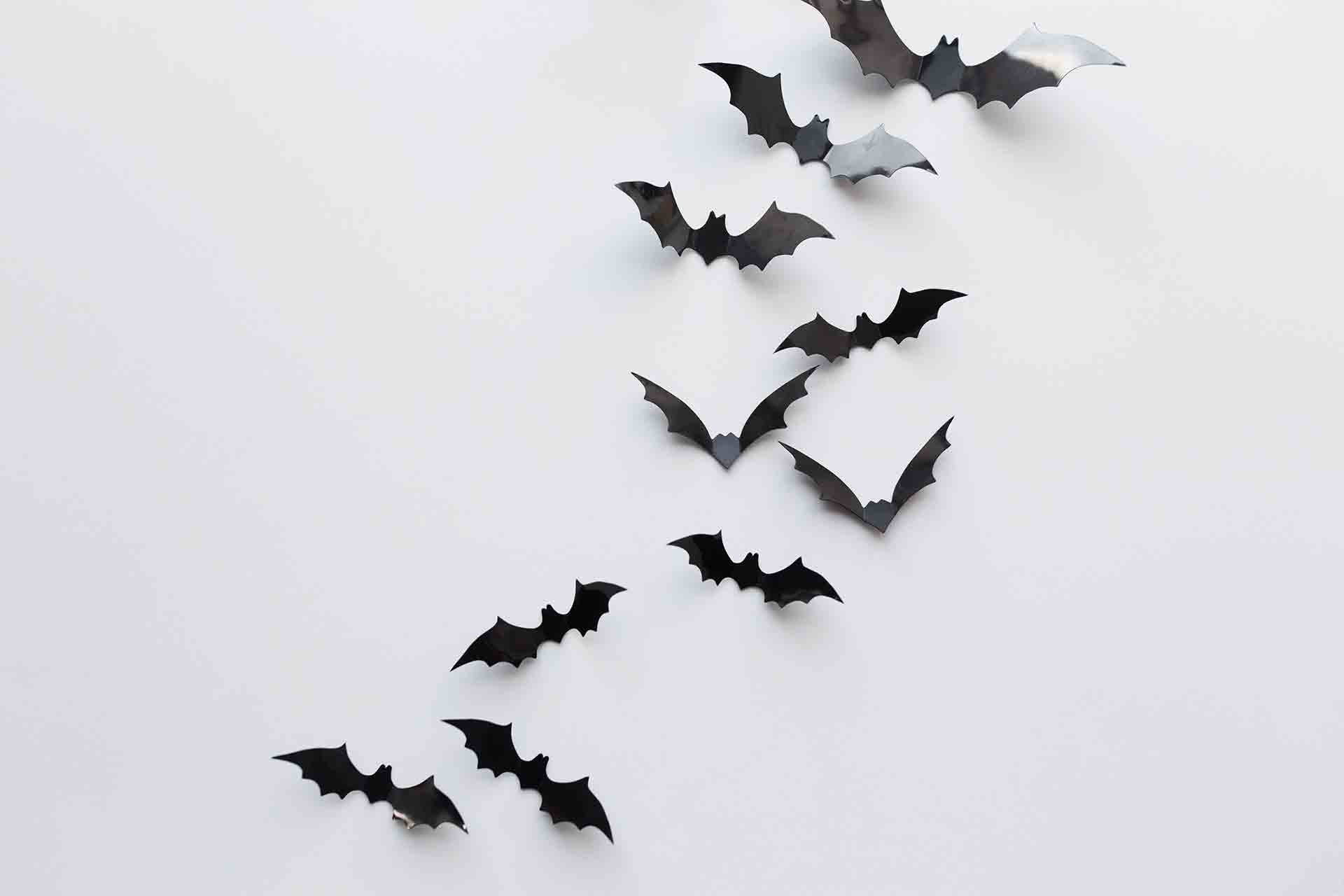 Pipistrelli per Halloween: come realizzali velocemente