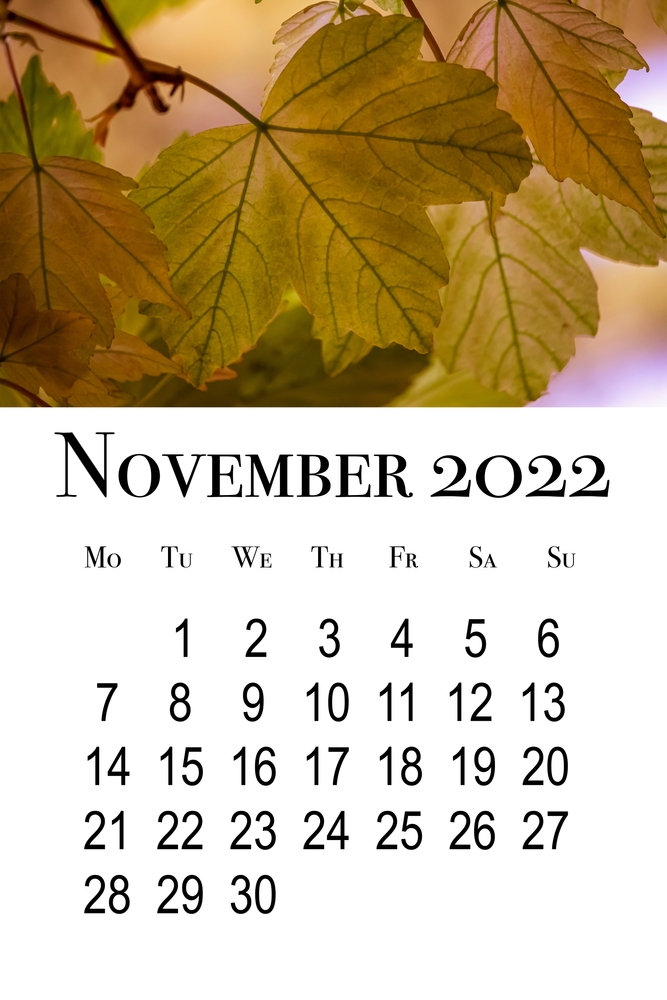 calendario-novembre-2022-da-stampare-3.jpg