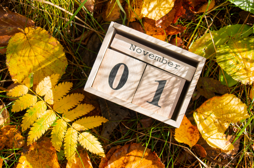 Calendario novembre 2022 da stampare: 9 modelli gratis