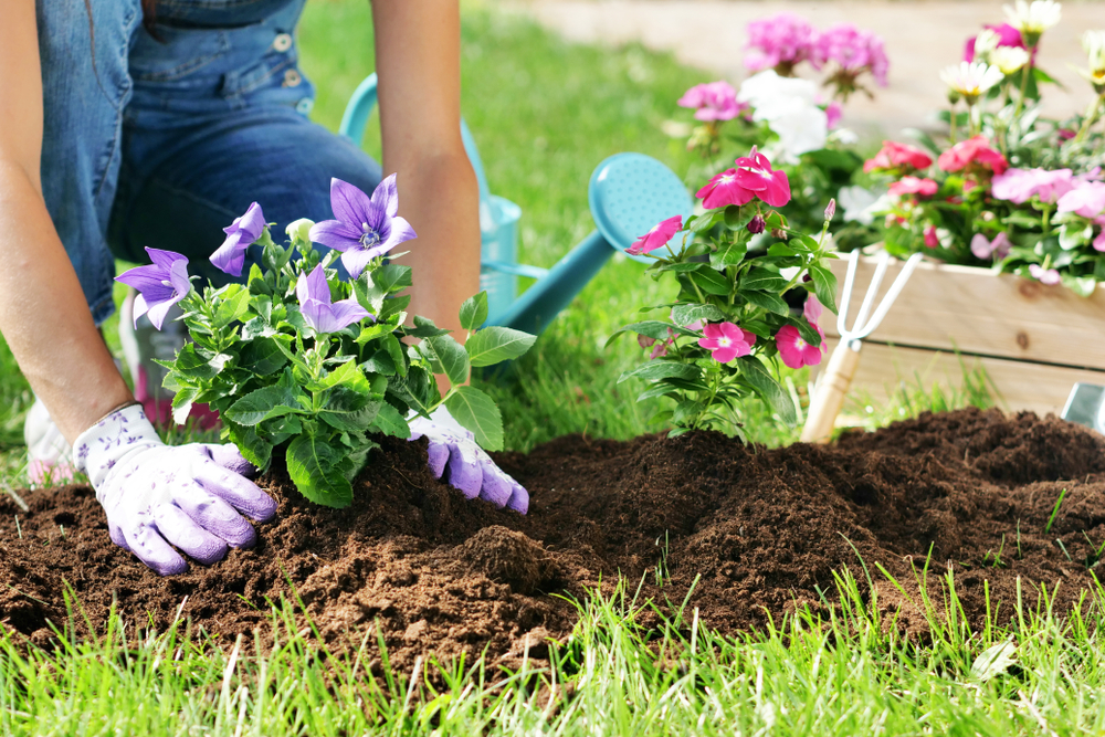 Passatempi sostenibili: 5 hobby eco-friendly per adulti