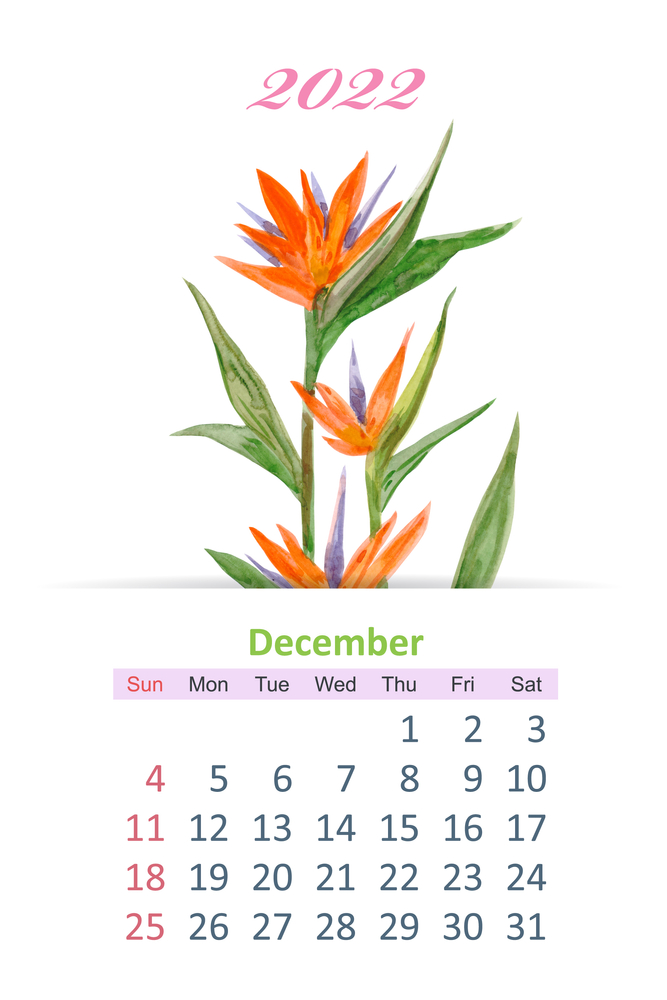 calendario-dicembre-2022-da-stampare-2.jpg