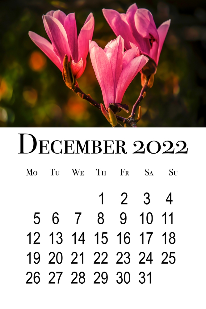 calendario-dicembre-2022-da-stampare-3.jpg