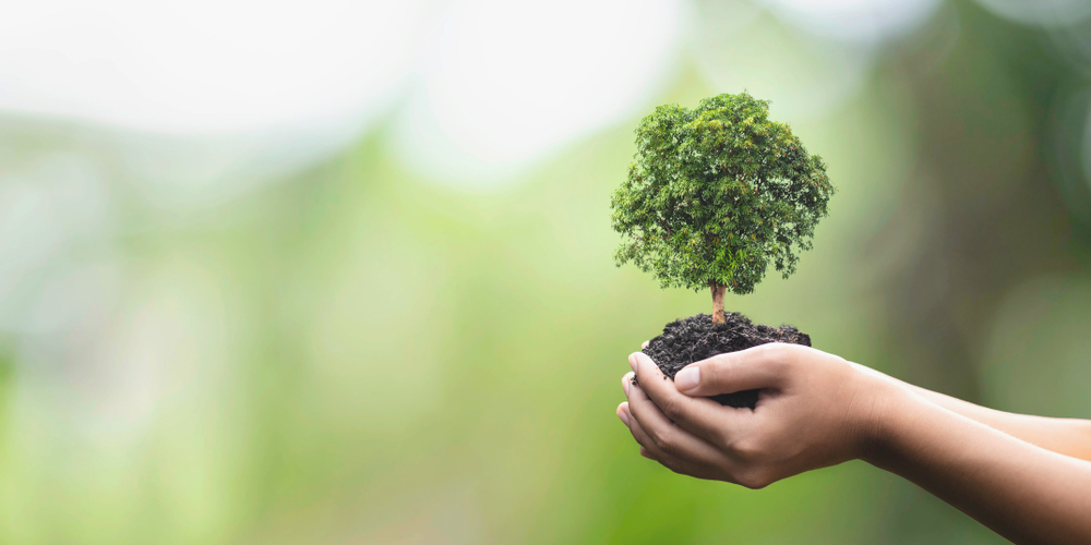 Che cos’è la convenzione sulla Biodiversità e perché è importante