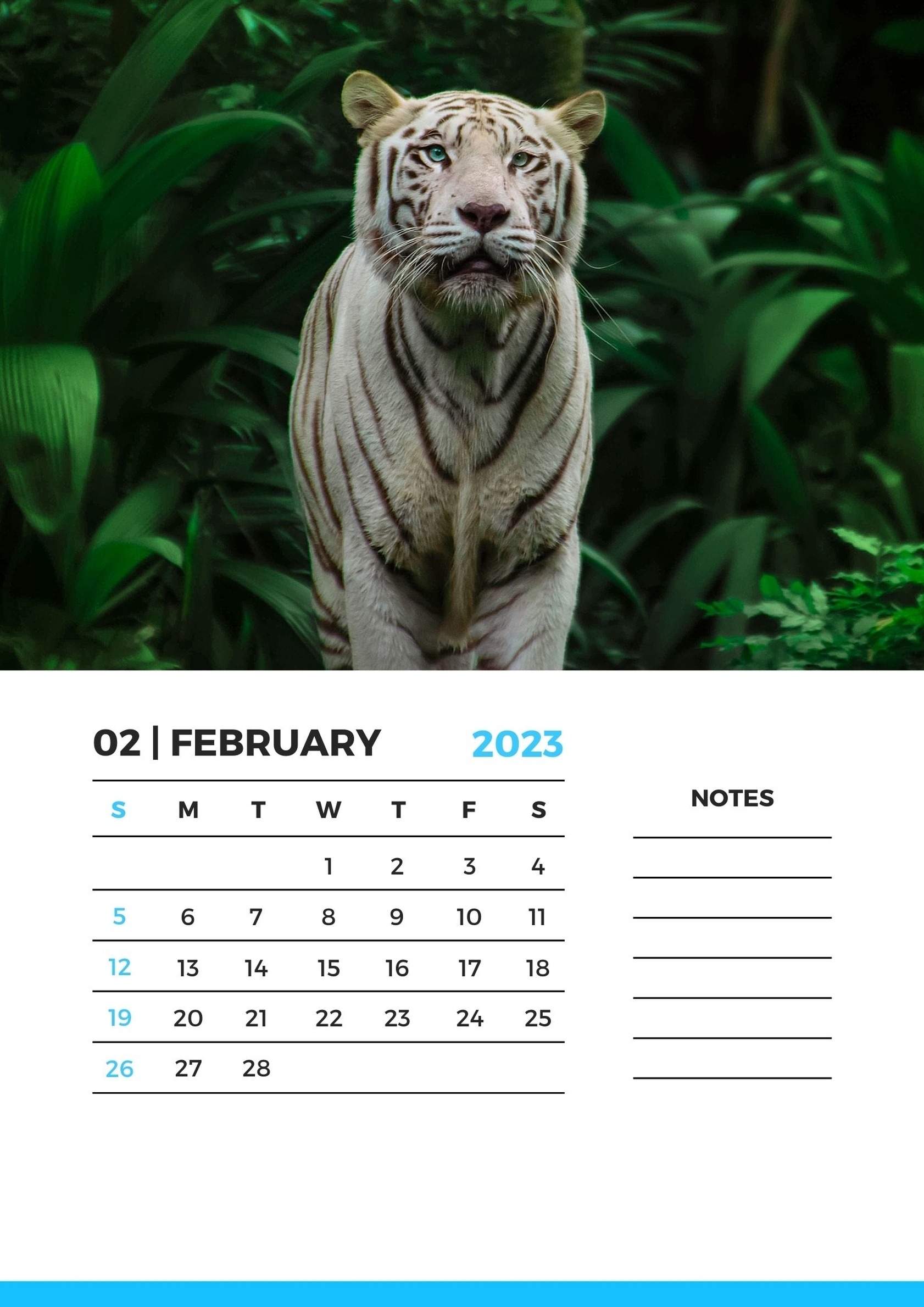 calendario-febbraio-2023-da-stampare-5.jpg