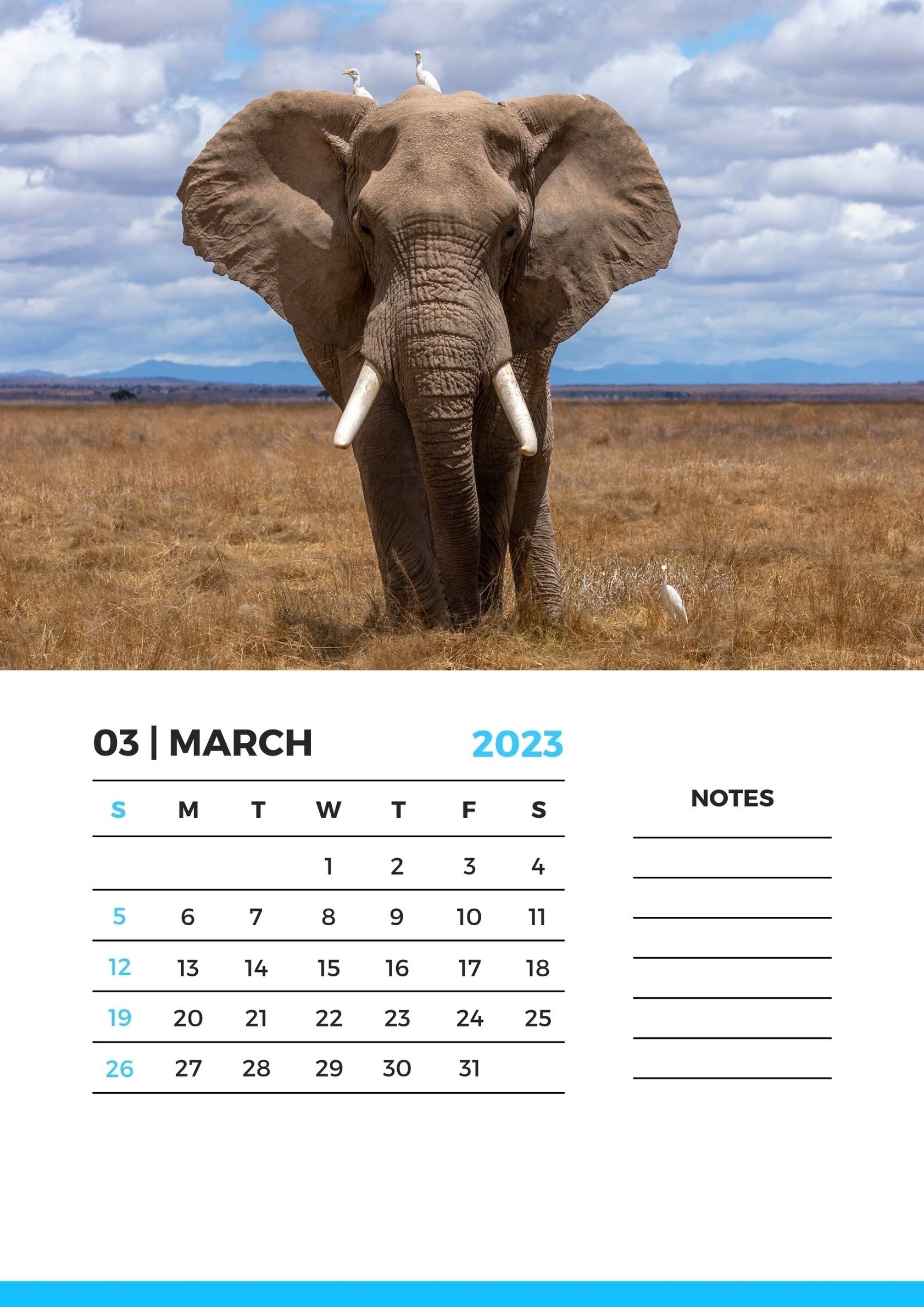 calendario-marzo-2023-da-stampare-5.jpg