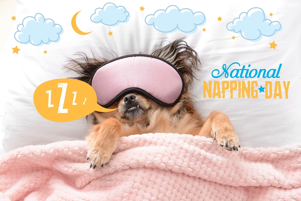 Il 13 marzo è il National Napping Day: quanto è bello fare il pisolino