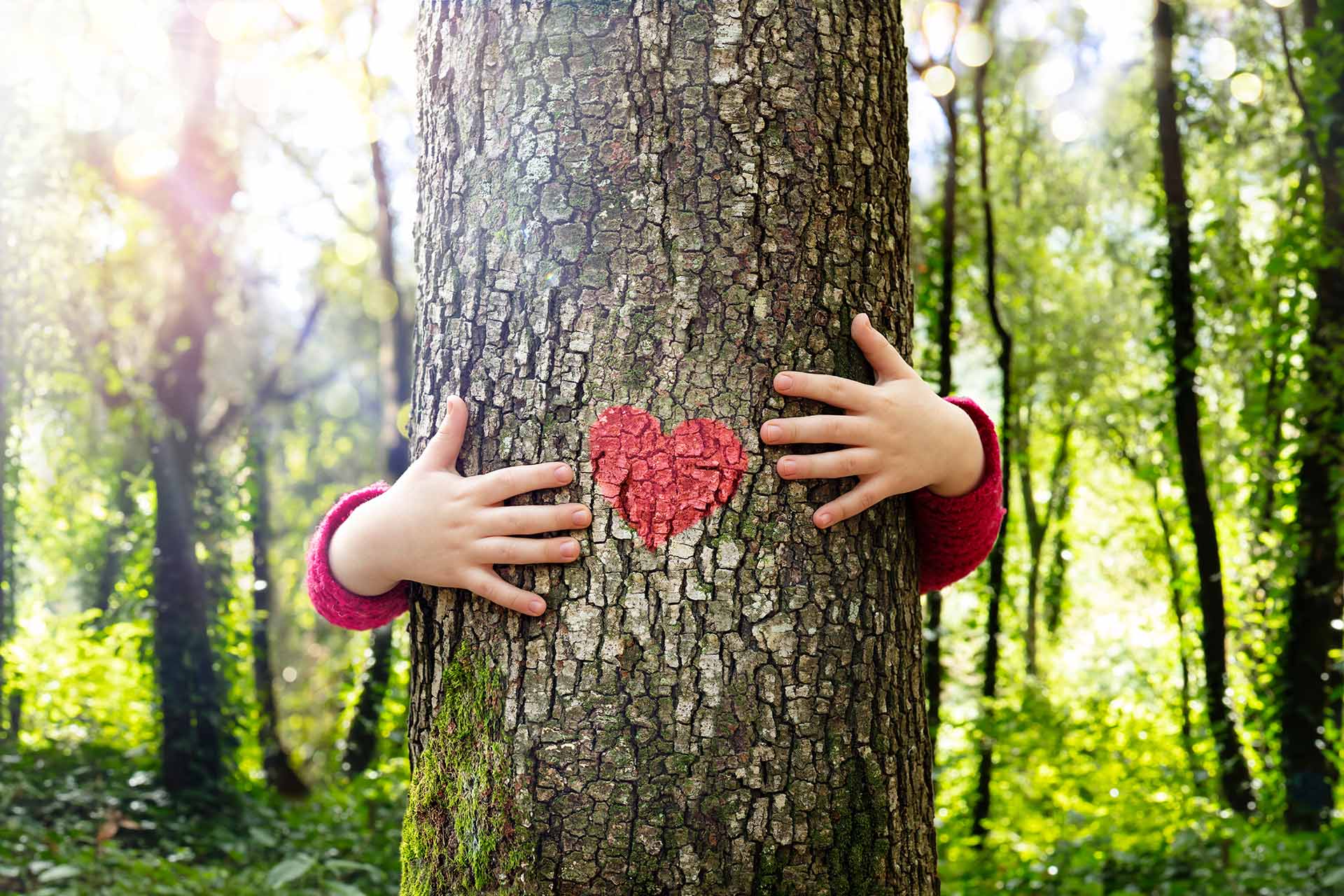 50 modi per prendersi cura dell'ambiente