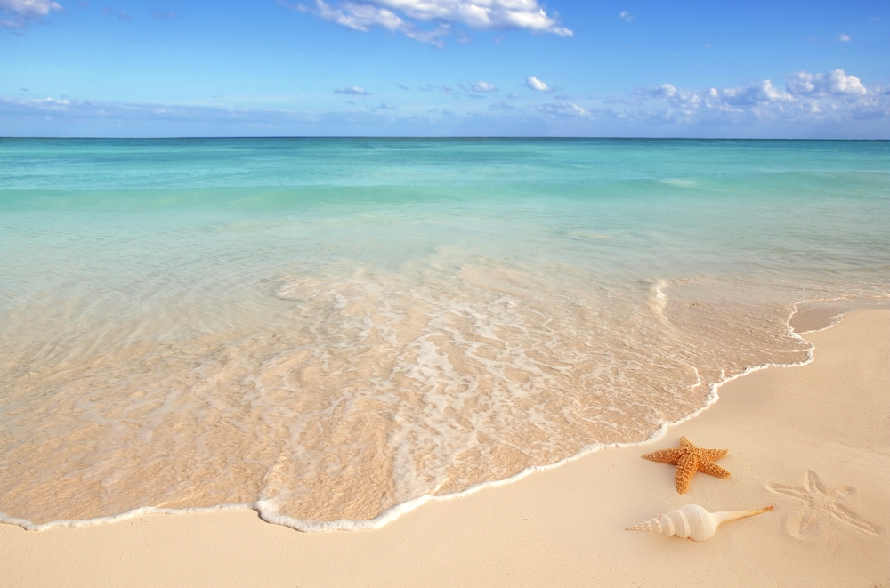 sfondi-desktop-conchiglie-spiaggia-1.jpg