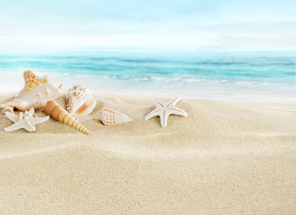 sfondi-desktop-conchiglie-spiaggia-3.jpg
