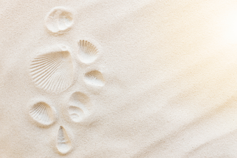 sfondi-desktop-conchiglie-spiaggia-7.jpg