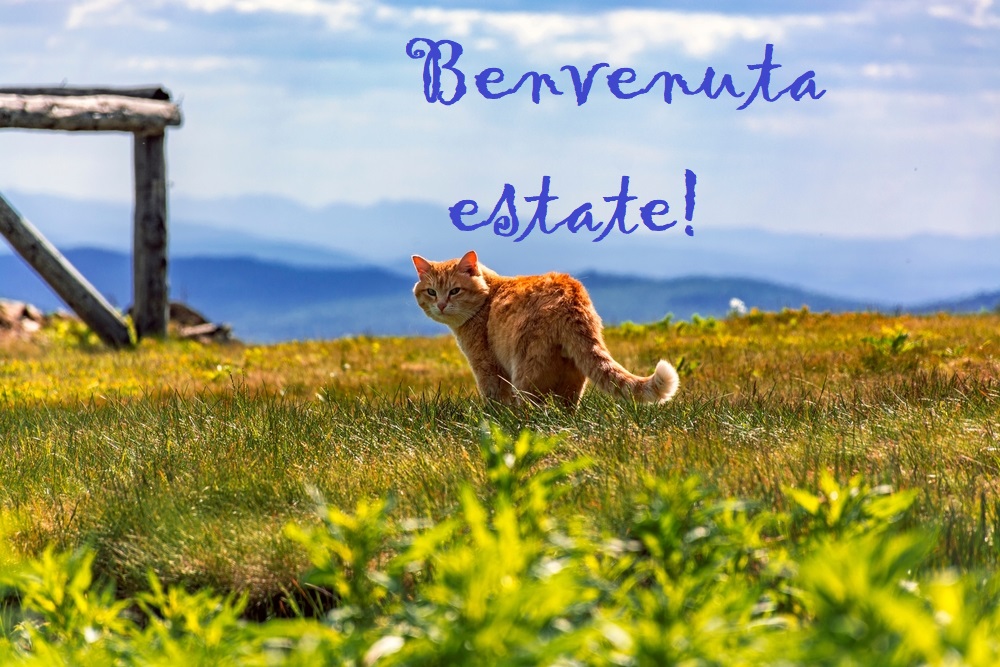 benvenuta-estate-2023-3.jpg