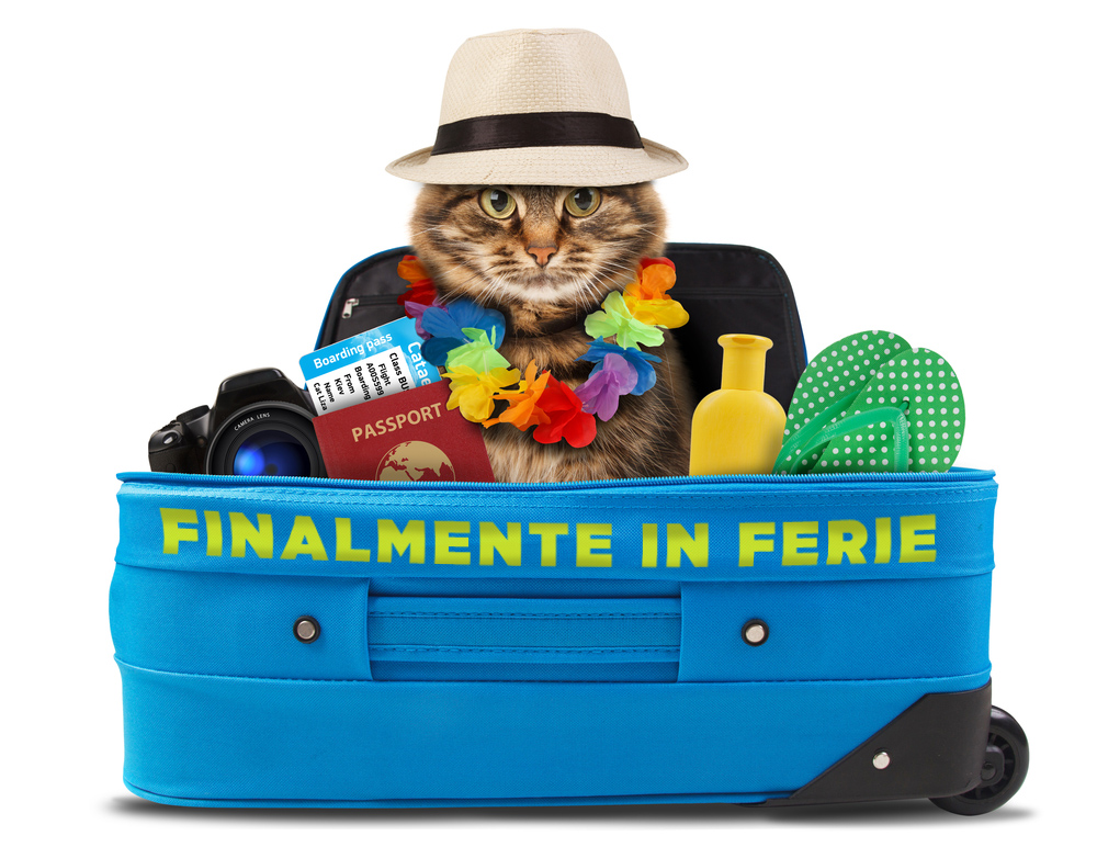 finalmente-in-ferie-immagini-2.jpg