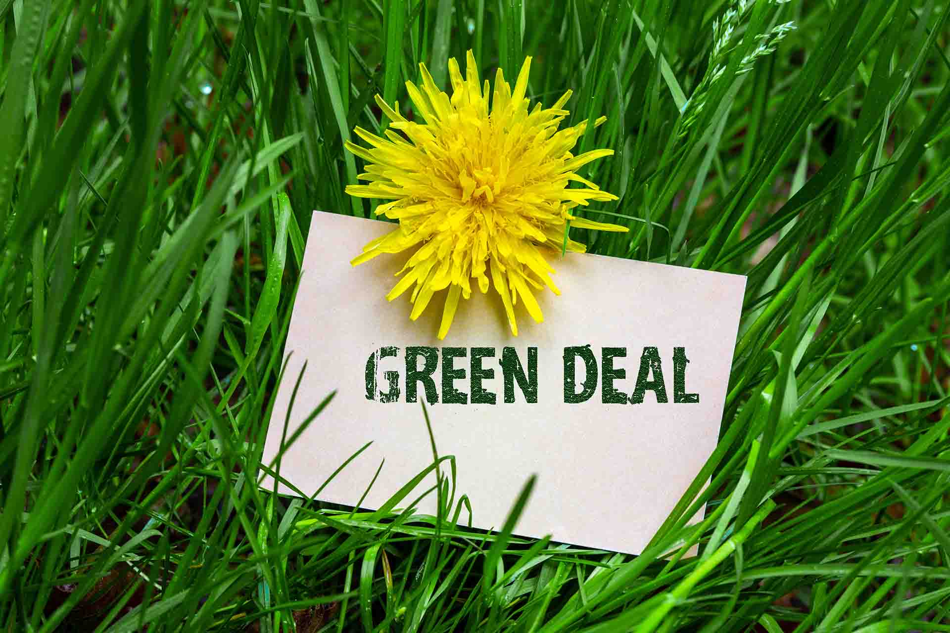 Da chi è stato definito il Green Deal
