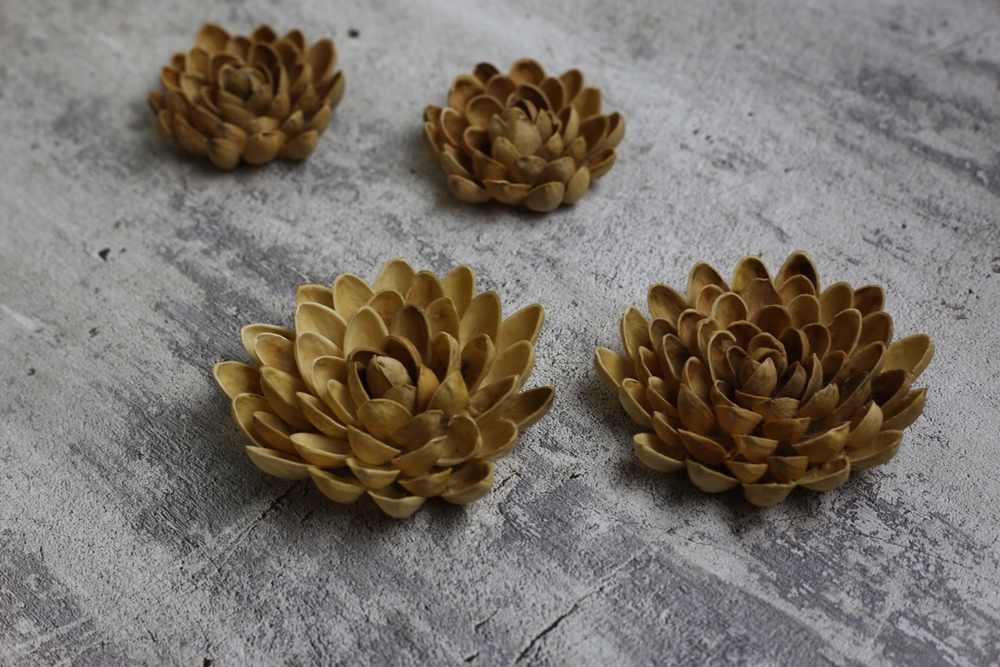 Come usare i gusci dei pistacchi: spighe e fiori decorativi fa da te
